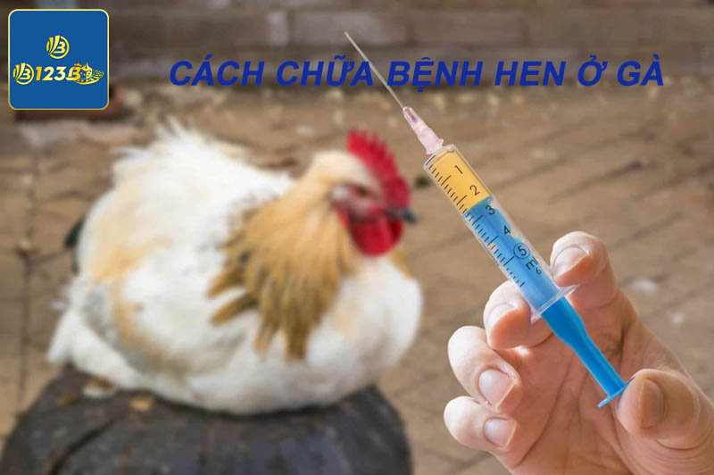 Cách chữa bệnh hen ở gà từ các sư kê lâu năm